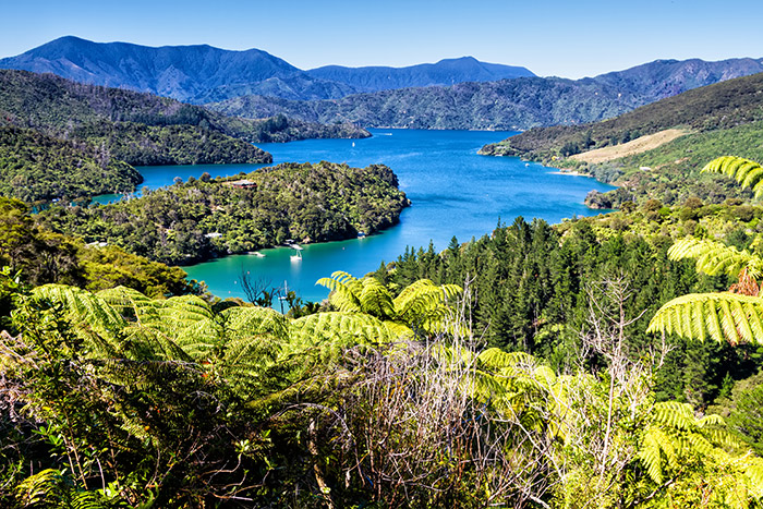 The Marlborough Sounds - Roundabout NZ